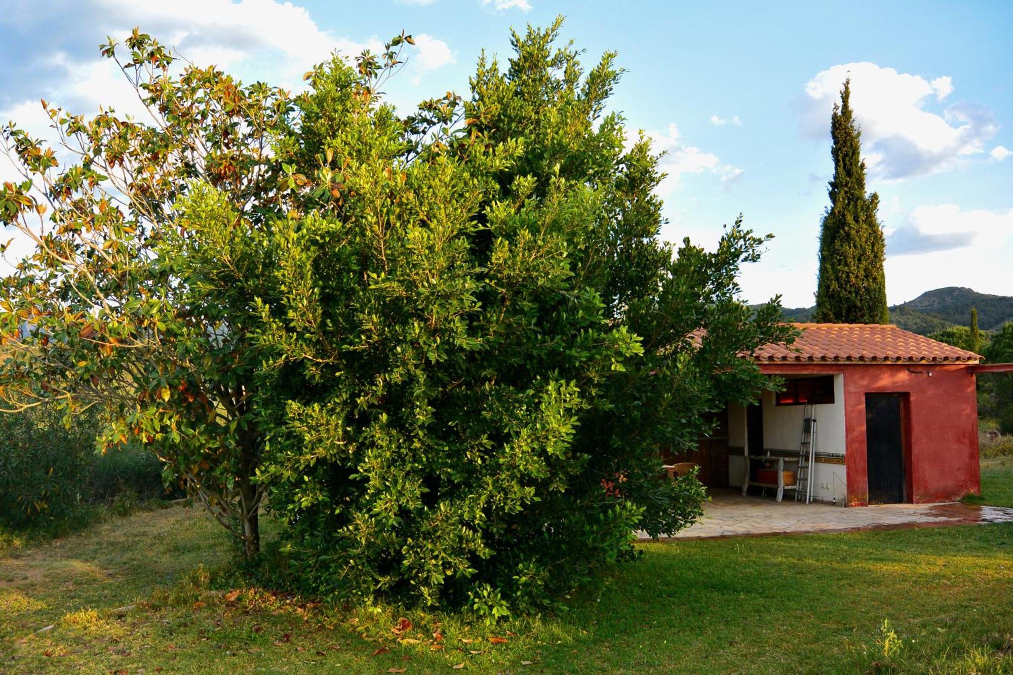 L'Albaida, Tranquility, Views Of Sea And Mountains Apartamento Vilanova de Escornalbou Quarto foto
