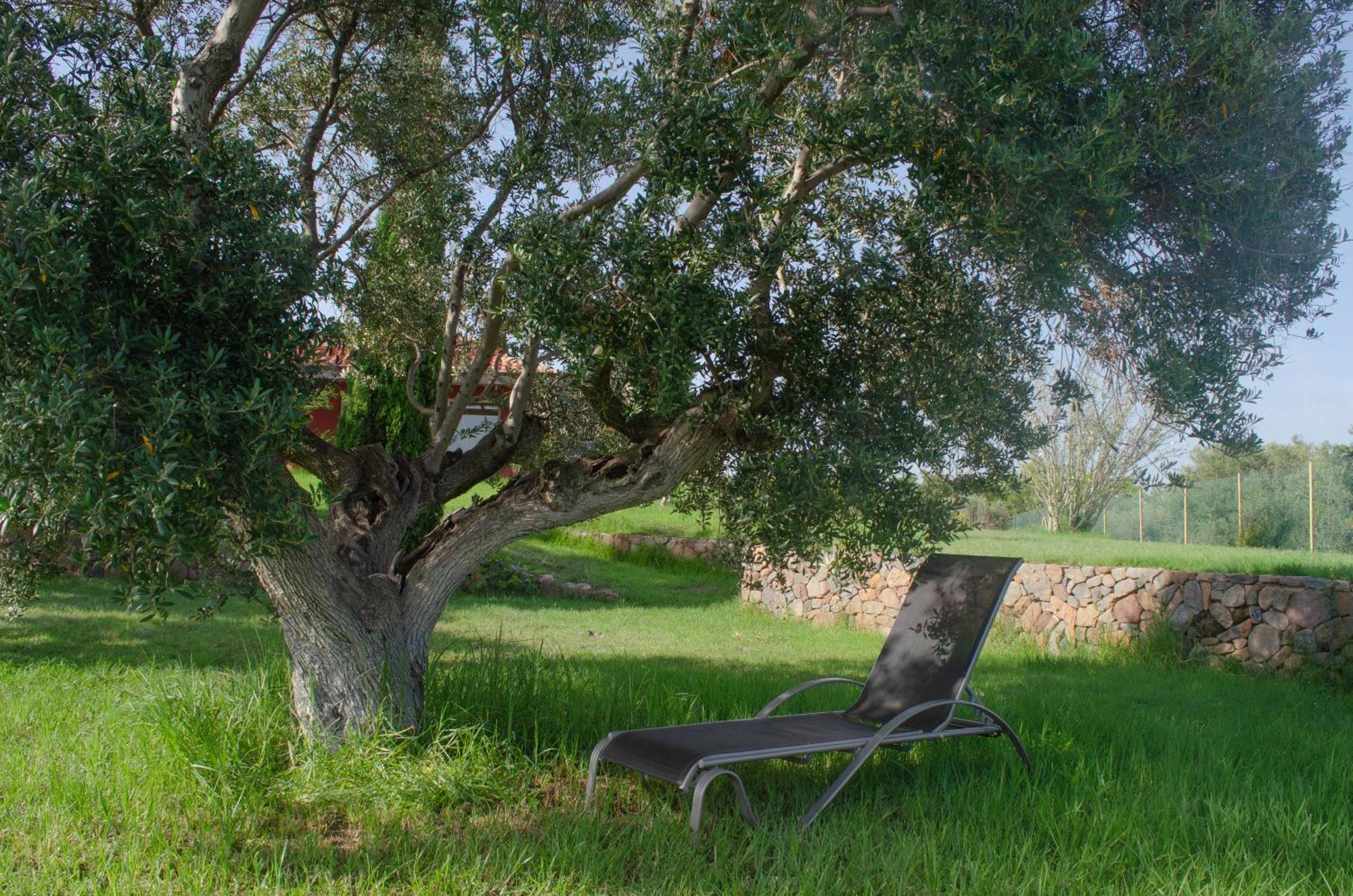 L'Albaida, Tranquility, Views Of Sea And Mountains Apartamento Vilanova de Escornalbou Exterior foto
